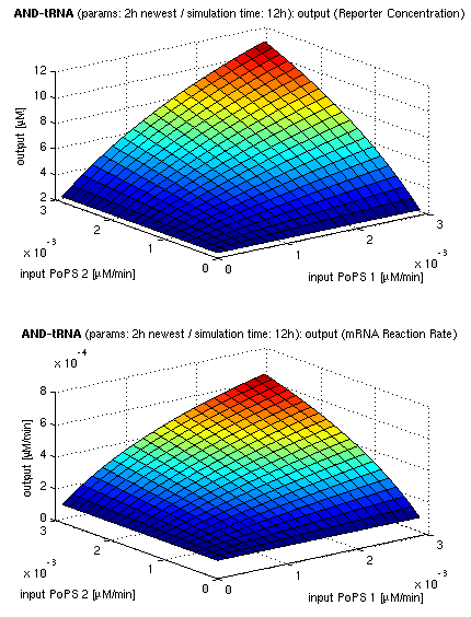3d surface plot of simulation results for AND gate, protein halflife period: 2h