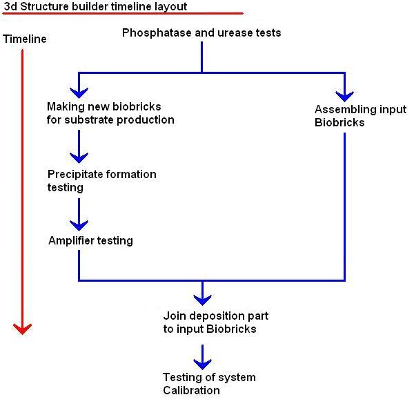 3d Structure builder timeline layout