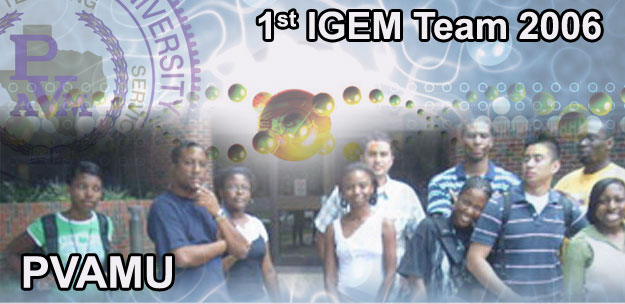 IGEM-Team2k6.jpg