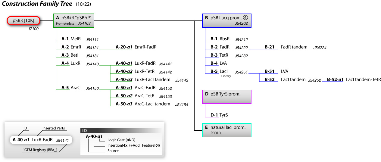 Construction Family Tree (rev.1022)