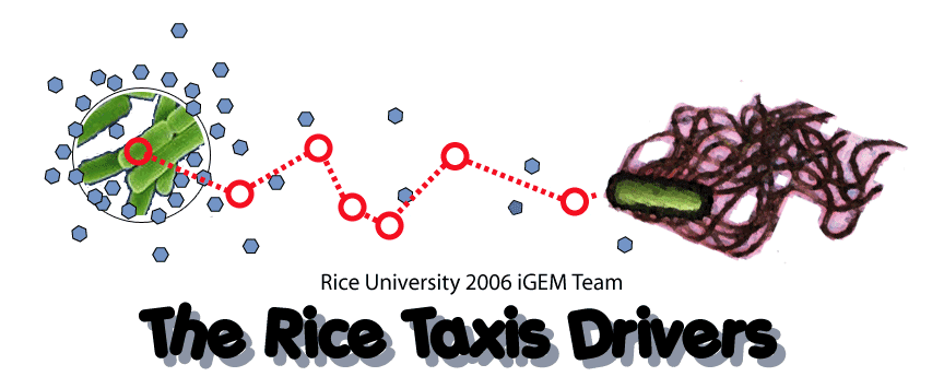 Rice-iGEM-Logo.jpg