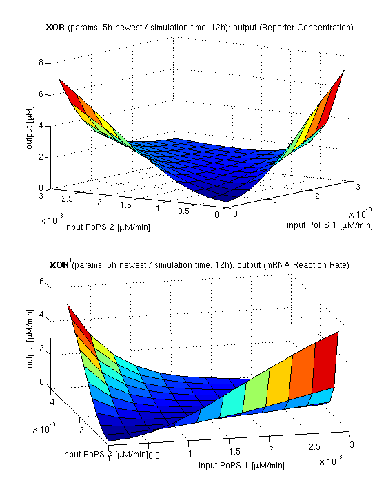 3d surface plot of simulation results for XOR gate, protein halflife period: 5h