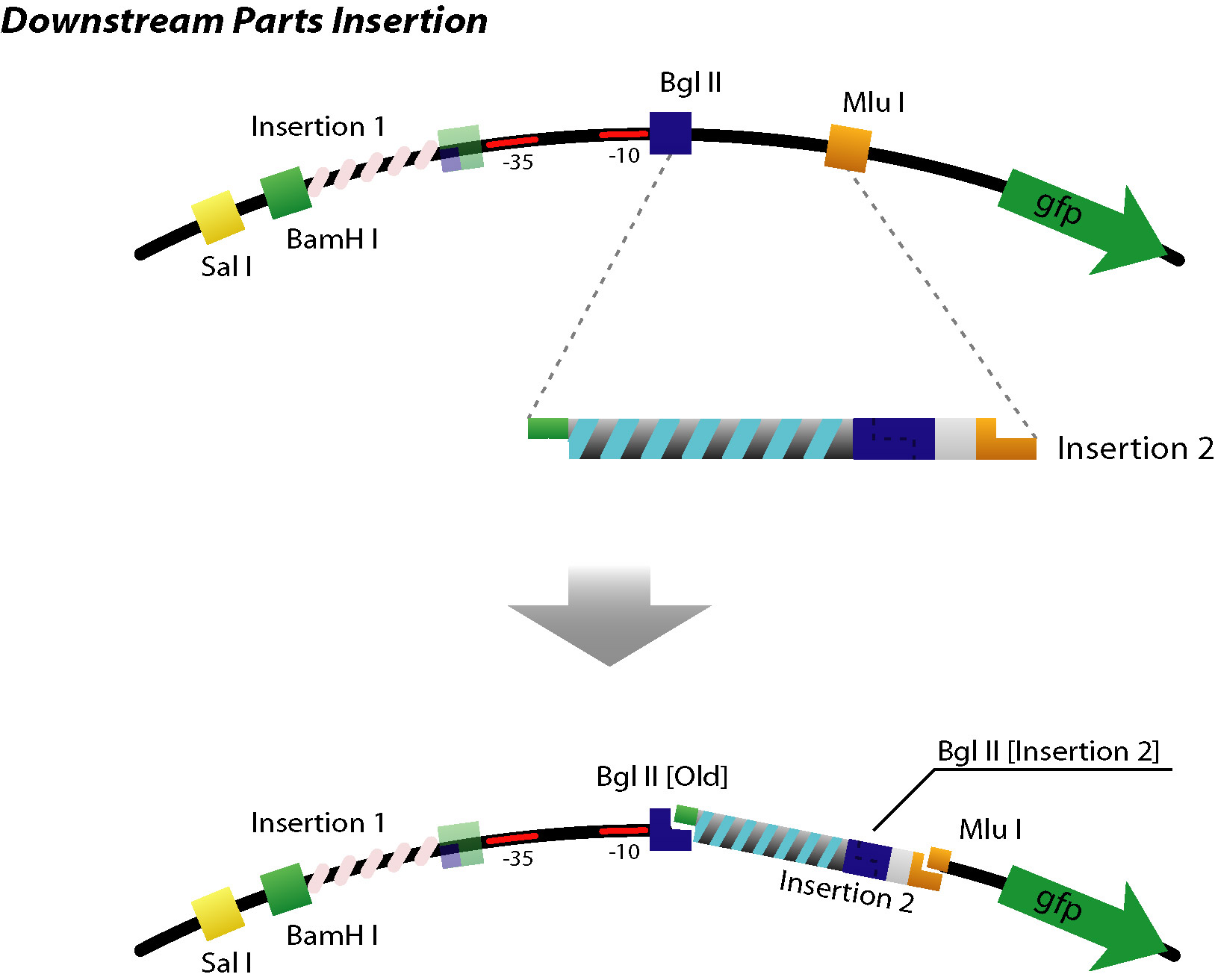 Downstream Parts Insertion