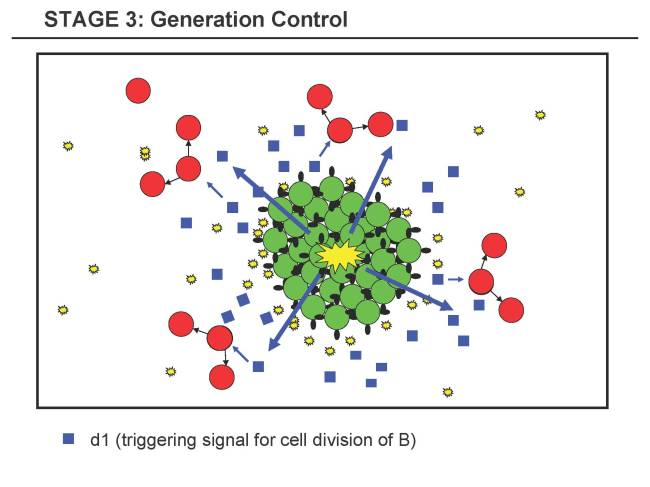 Stage 3: Generation Control
