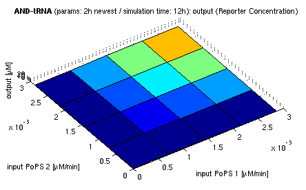 topside view of simulation results for AND gate, protein halflife period: 2h