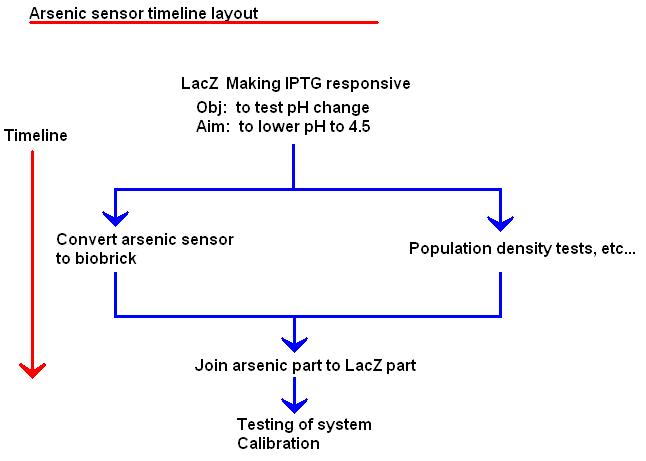 Arsenic sensor timeline layout