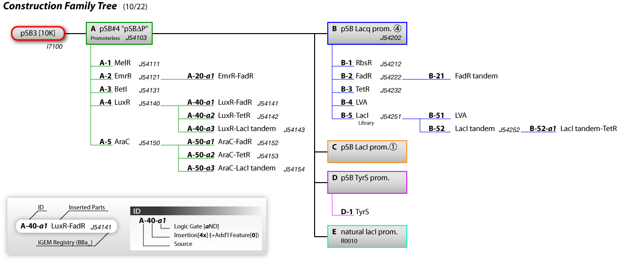 Construction Family Tree (rev.1022)