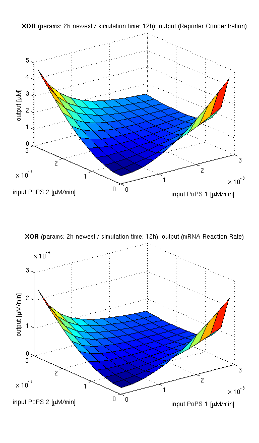 3d surface plot of simulation results for XOR gate, protein halflife period: 2h