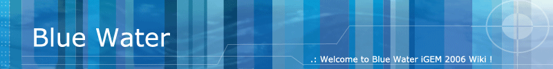 Blue-water-banner.gif